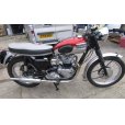 画像1: トライアンフ T120 Bonneville ボンネビル(650cc) 1962年 (1)