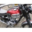 画像19: トライアンフ T120 Bonneville ボンネビル(650cc) 1962年