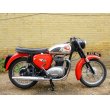 画像1: BSA A65 (650cc) 1962年 (1)