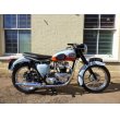 画像1: トライアンフ T120 Bonneville ボンネビル(650cc) 1959年 (1)