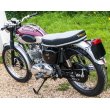 画像8: トライアンフ TR6SS Trophy トロフィー (650cc) 1962年 (8)