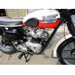 画像3: トライアンフ TR6 Trophy トロフィー (650cc) 1960年 (3)