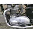 画像13: トライアンフ T100 タイガー (500cc) 1955年 (13)