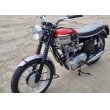 画像4: トライアンフ T120 Bonneville ボンネビル(650cc) 1962年 (4)