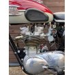 画像6: トライアンフ TR6SS Trophy トロフィー (650cc) 1962年 (6)