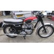 画像1: トライアンフ T120 Bonneville ボンネビル(650cc) 1962年 (1)