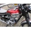 画像19: トライアンフ T120 Bonneville ボンネビル(650cc) 1962年 (19)