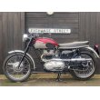 画像2: トライアンフ TR6 Trophy トロフィー (650cc) 1959年 (2)