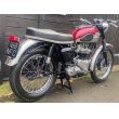 画像3: トライアンフ TR6 Trophy トロフィー (650cc) 1959年 (3)