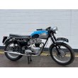 画像1: トライアンフ T120 Bonneville ボンネビル(650cc) 1962年 (1)