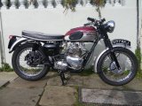 画像: トライアンフ TR6R Trophy トロフィー (650cc) 1961年