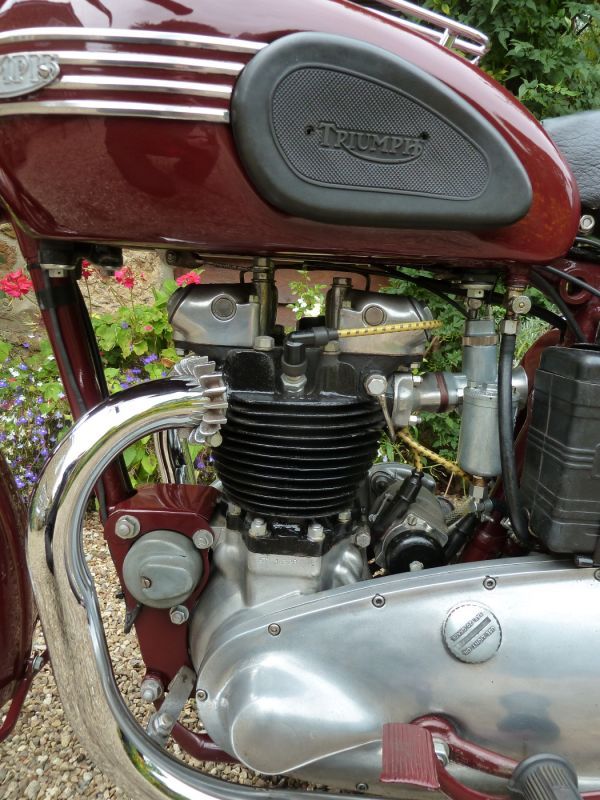 画像: トライアンフ 5T Speed Twin スピードツイン (500cc) 1950年