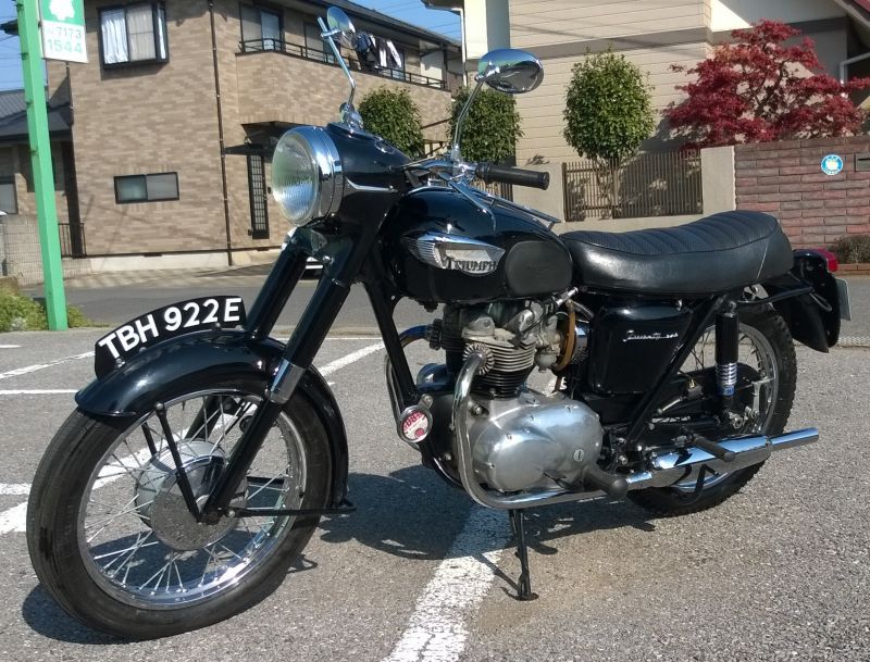 TRIUMPH 3TA | トライアンフ | クラシックバイク | ビンテージバイク